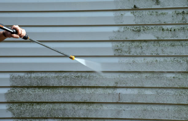 Best Sidewalk Pressure Washing  in Lenoir City, TN