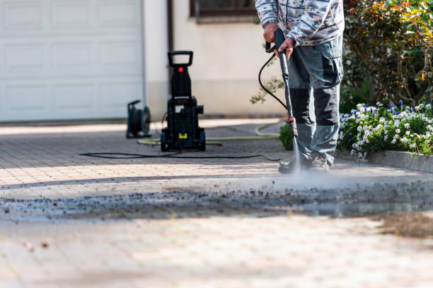 Best Roof Pressure Washing  in Lenoir City, TN